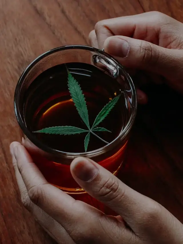 10 Surprising Benefits and Uses of Marijuana Tea